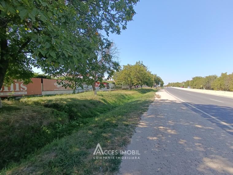 Lot de teren agricol, 30 ari! Trușeni! str. Calea Trușenilor: 0