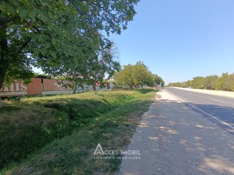 Terenuri de vânzare în Chișinău: Trușeni,Calea Trușenilor