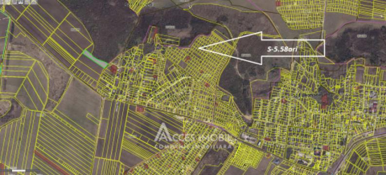 Земельный участок под строительство 5.58 соток! Келтуитори, ул. Суцевица!: 3