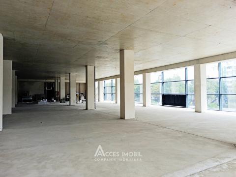 Chirie! Spațiu Comercial 730m2, Botanica, bd. Dacia! Variantă albă!: 3