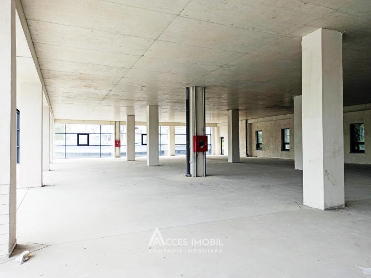 Chirie! Spațiu Comercial 730m2, Botanica, bd. Dacia! Variantă albă!: 4