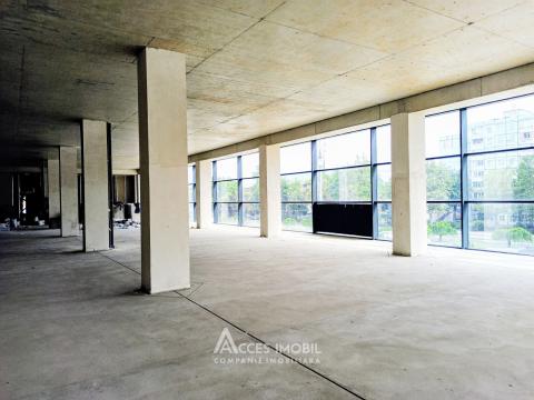 Chirie! Spațiu Comercial 730m2, Botanica, bd. Dacia! Variantă albă!: 6