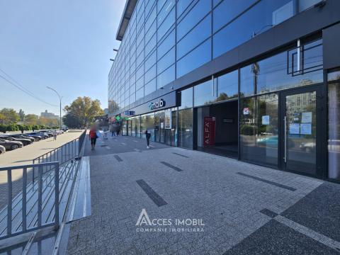 Chirie! Spațiu Comercial 730m2, Botanica, bd. Dacia! Variantă albă!: 11