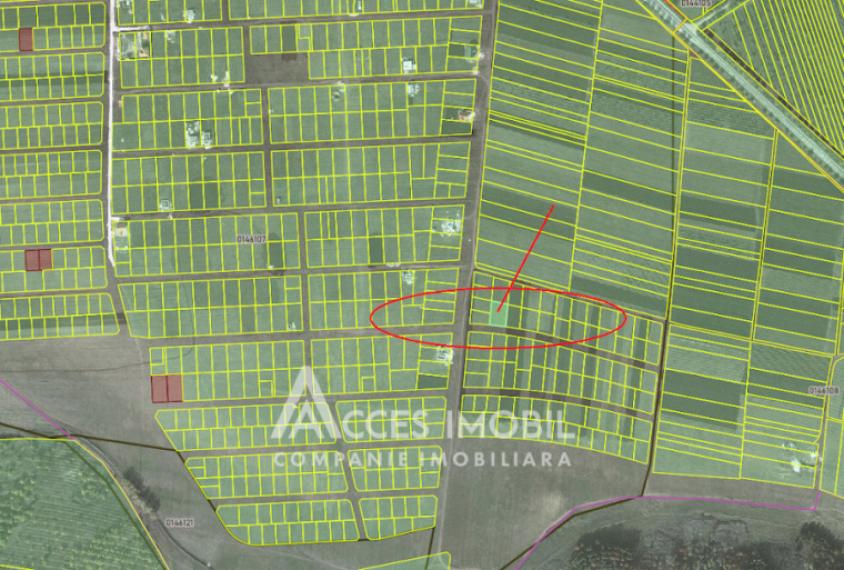 Teren pentru construcții 8 ari! Tohatin, str. Independeței!: 6