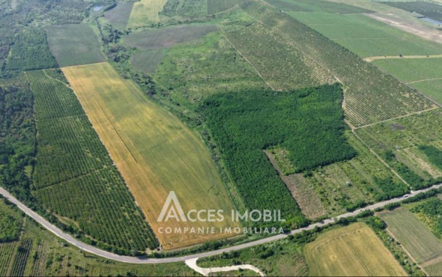 Teren agricol 17000 ari! Peresecina.: 0