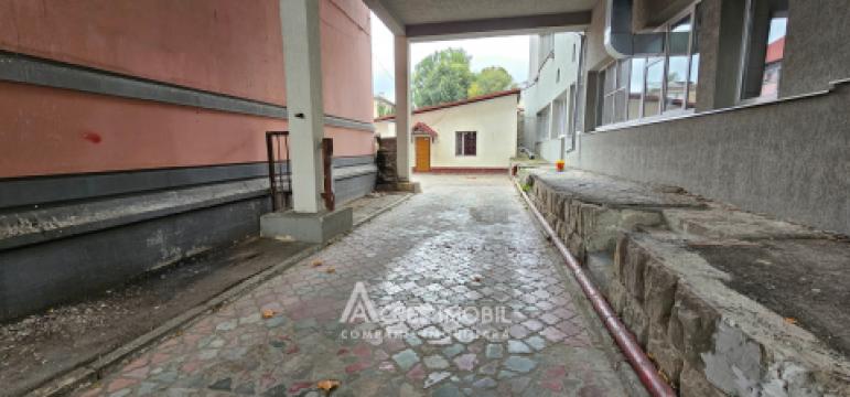 Spațiu Comercial, 258m2! Centru, str. Petru Movilă!: 1