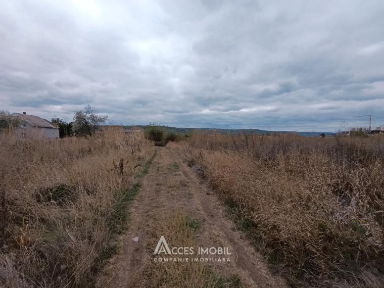 Teren pentru agricultură, 57 ari! Cojușna, str. Combatanților!: 0