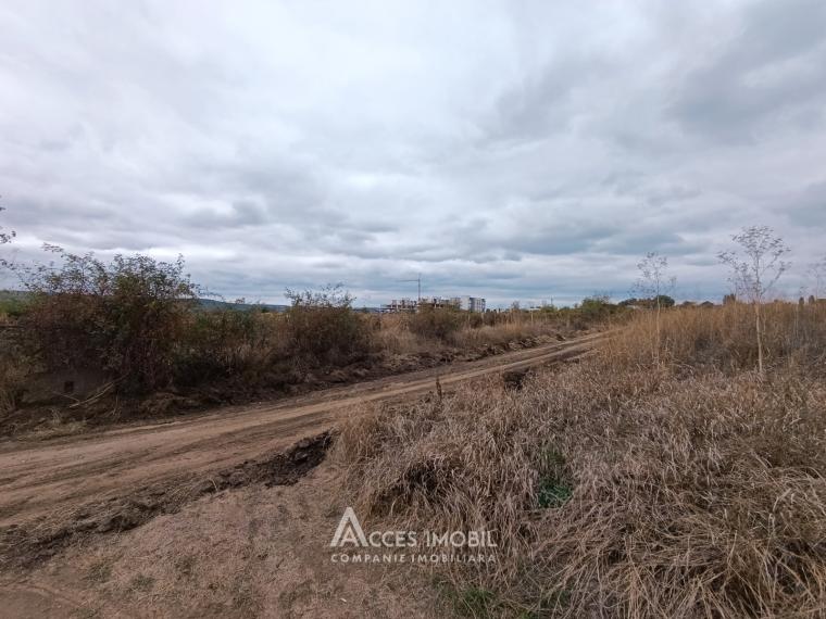 Teren pentru agricultură, 57 ari! Cojușna, str. Combatanților!: 1