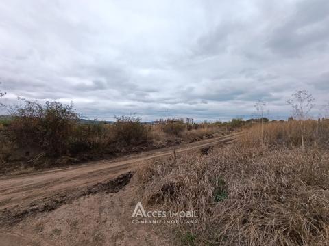 Teren pentru agricultură, 57 ari! Cojușna, str. Combatanților!: 1