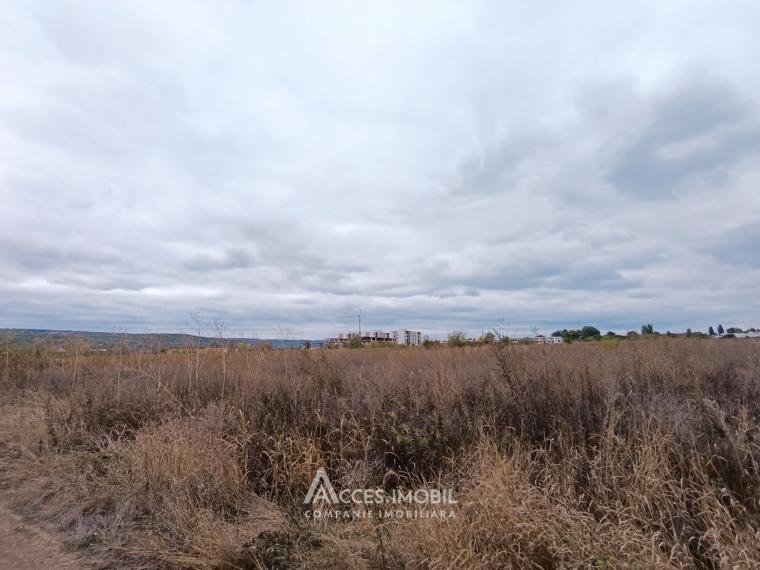 Teren pentru agricultură, 57 ari! Cojușna, str. Combatanților!: 2