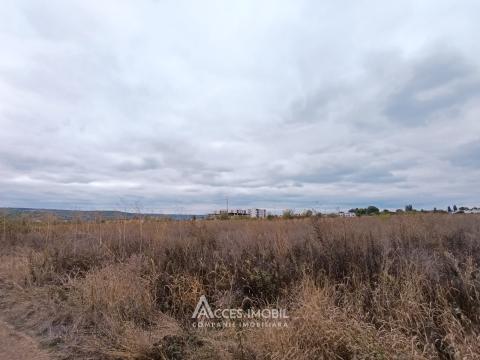 Teren pentru agricultură, 57 ari! Cojușna, str. Combatanților!: 2