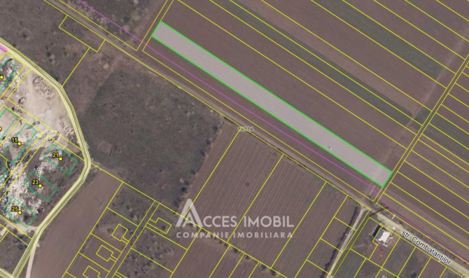 Teren pentru agricultură, 57 ari! Cojușna, str. Combatanților!: 5