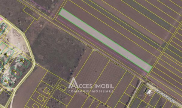 Teren pentru agricultură, 57 ari! Cojușna, str. Combatanților!: 5