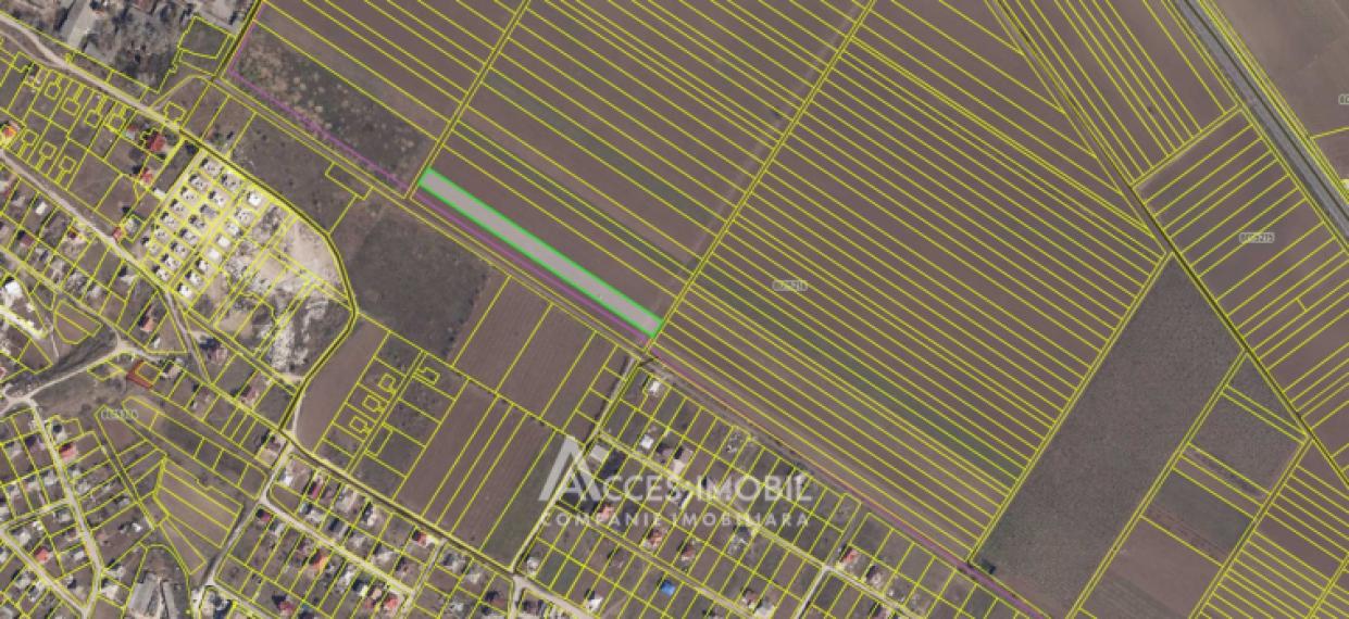 Teren pentru agricultură, 57 ari! Cojușna, str. Combatanților!: 6