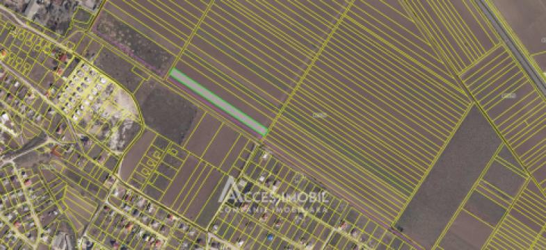 Teren pentru agricultură, 57 ari! Cojușna, str. Combatanților!: 6