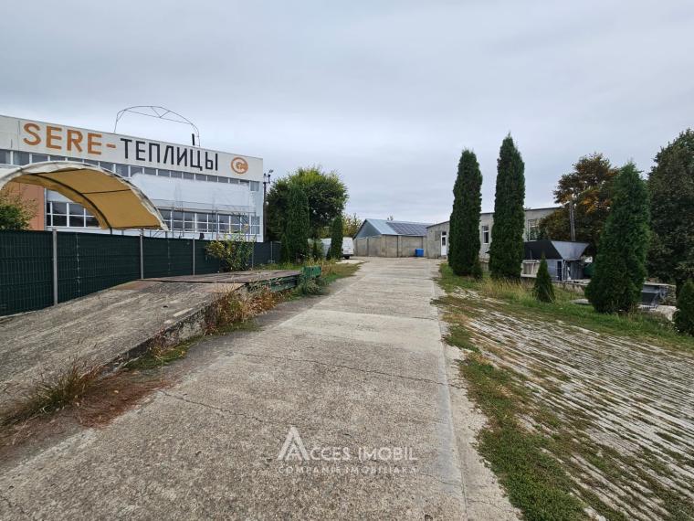 Spațiu Comercial 2500m2! Orhei, str. Mihai Eminescu!: 12