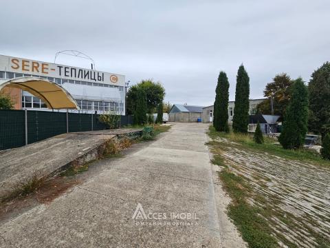 Spațiu Comercial 2500m2! Orhei, str. Mihai Eminescu!: 12