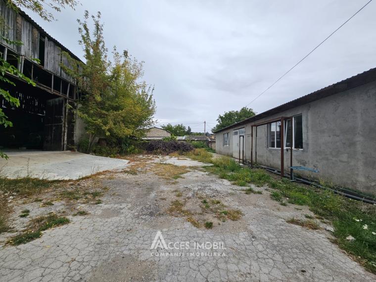 Spațiu Comercial 2500m2! Orhei, str. Mihai Eminescu!: 13