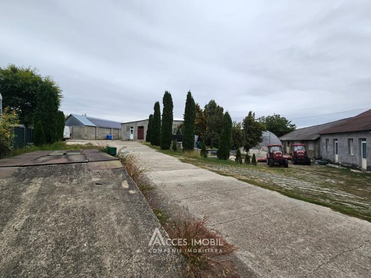 Spațiu Comercial 2500m2! Orhei, str. Mihai Eminescu!: 14