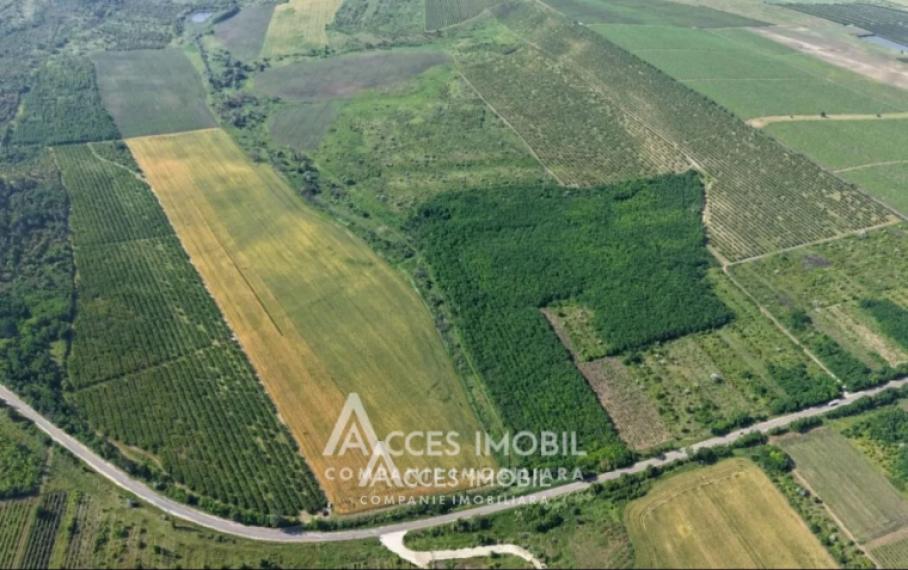 Spațiu Comercial 2500m2! Orhei, str. Mihai Eminescu!: 15