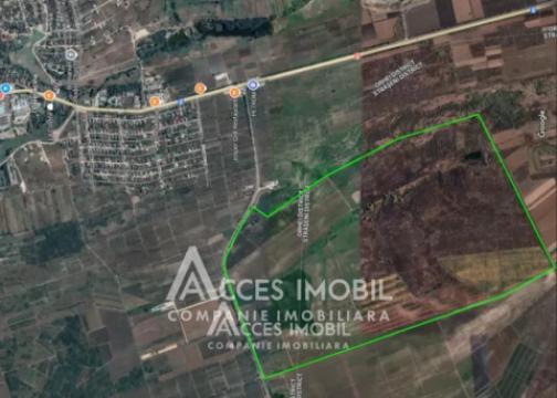 Spațiu Comercial 2500m2! Orhei, str. Mihai Eminescu!: 16