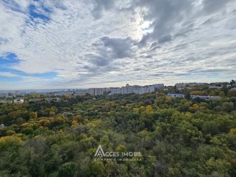 Центр, ул. Н. Тестемицану, 2 комнаты! Середина дома!: 12