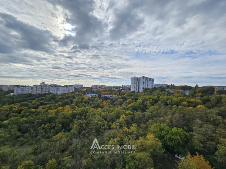 Центр, ул. Н. Тестемицану, 2 комнаты! Середина дома!: 13