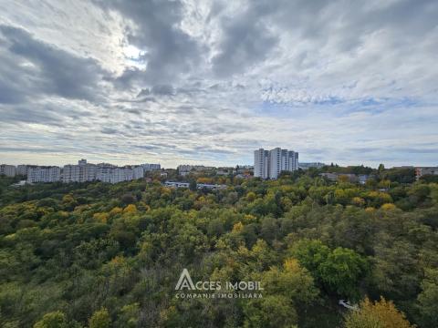 Центр, ул. Н. Тестемицану, 2 комнаты! Середина дома!: 13