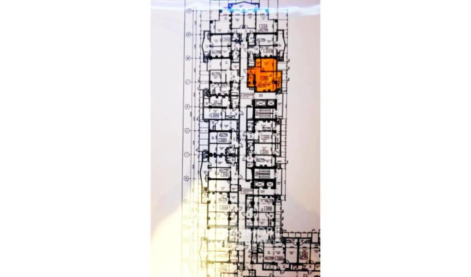 Newton House! Ботаника, ул. Грэдина Ботаникэ, 1 комнатa. Белый Вариант!: 10