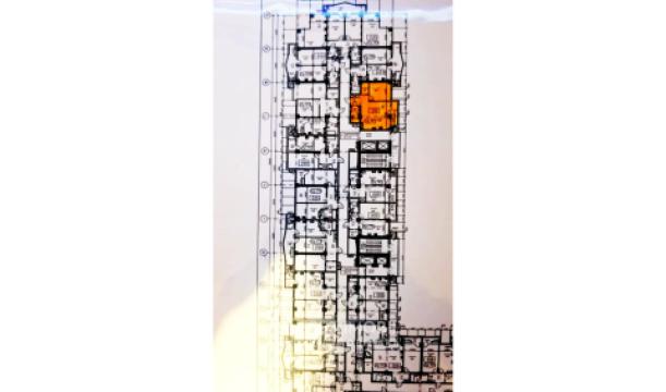 Newton House! Ботаника, ул. Грэдина Ботаникэ, 1 комнатa. Белый Вариант!: 10