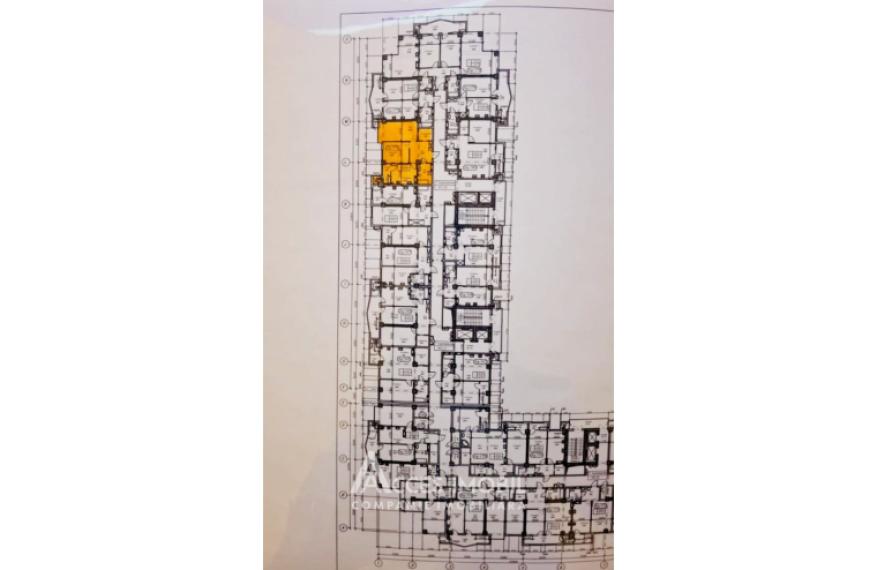 Newton House! Botanica, Gradina Botanica street, 2 rooms + living. White Version!: 4