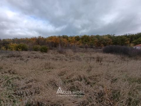 Terenuri de vânzare în Chișinău: Condrița, str. Ștefan cel Mare