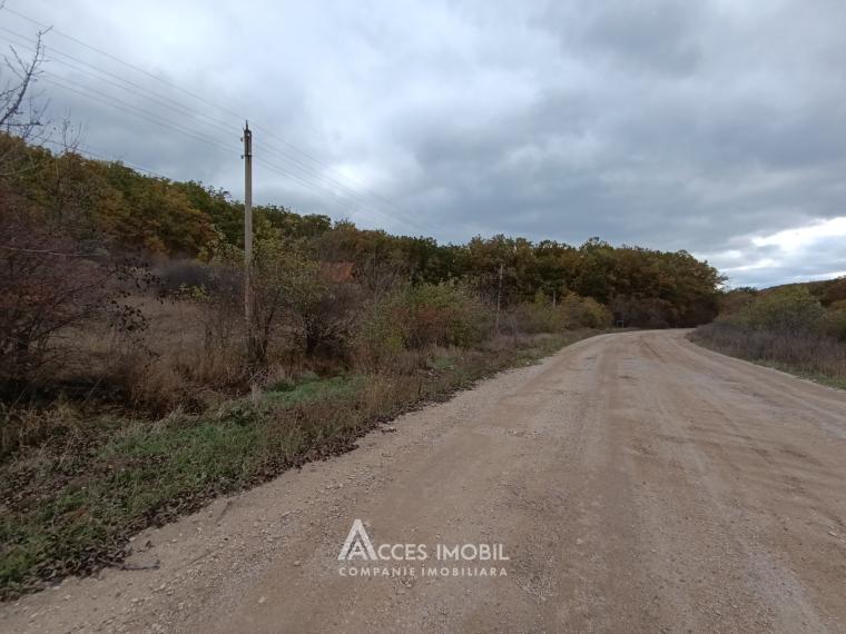 Teren pomicol 6 ari! Condrița, str. Ștefan cel Mare! Prima linie!: 1