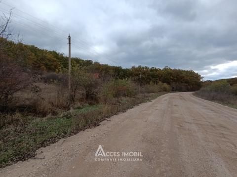 Teren pomicol 6 ari! Condrița, str. Ștefan cel Mare! Prima linie!: 1