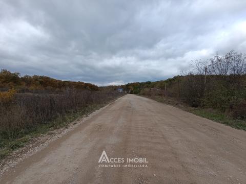 Teren pomicol 6 ari! Condrița, str. Ștefan cel Mare! Prima linie!: 2