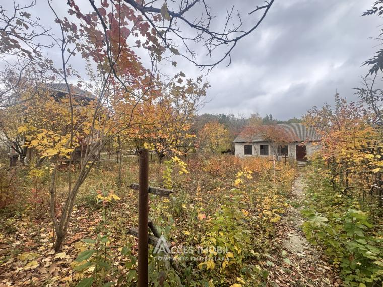 Casă! Dumbrava, str. Pădureț, 80m2 + 6 ari!: 0