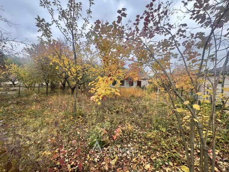 Casă! Dumbrava, str. Pădureț, 80m2 + 6 ari!: 1