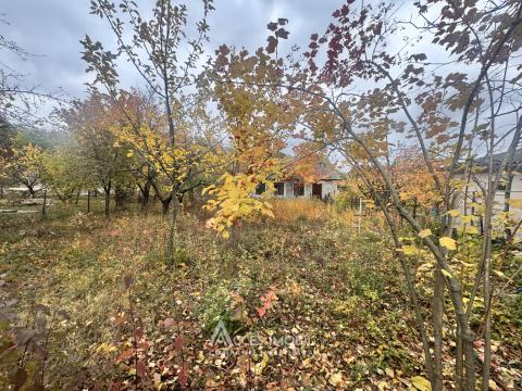 Casă! Dumbrava, str. Pădureț, 80m2 + 6 ari!: 1