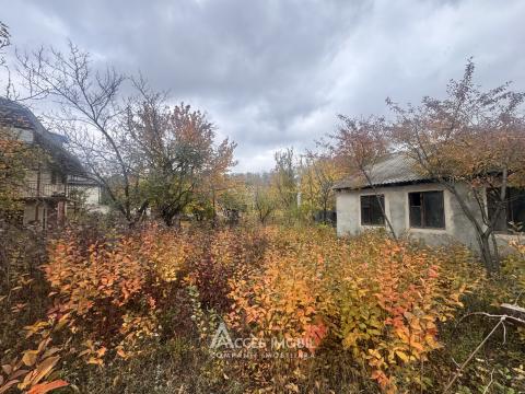 Casă! Dumbrava, str. Pădureț, 80m2 + 6 ari!: 2