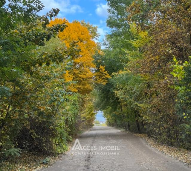 Casă! Dumbrava, str. Pădureț, 80m2 + 6 ari!: 8