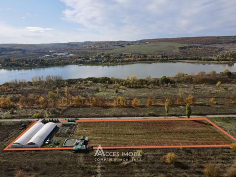 Terenuri de vânzare în Chișinău: Dănceni, str. șos Hîncești