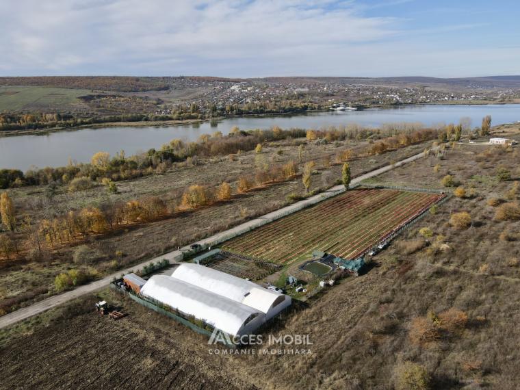 Сельскохозяйственный участок 100 соток! шос. Хынчешть, Данчены!: 6