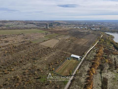 Сельскохозяйственный участок 100 соток! шос. Хынчешть, Данчены!: 7