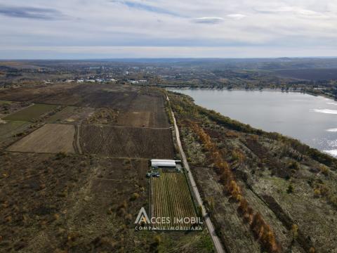 Сельскохозяйственный участок 100 соток! шос. Хынчешть, Данчены!: 8