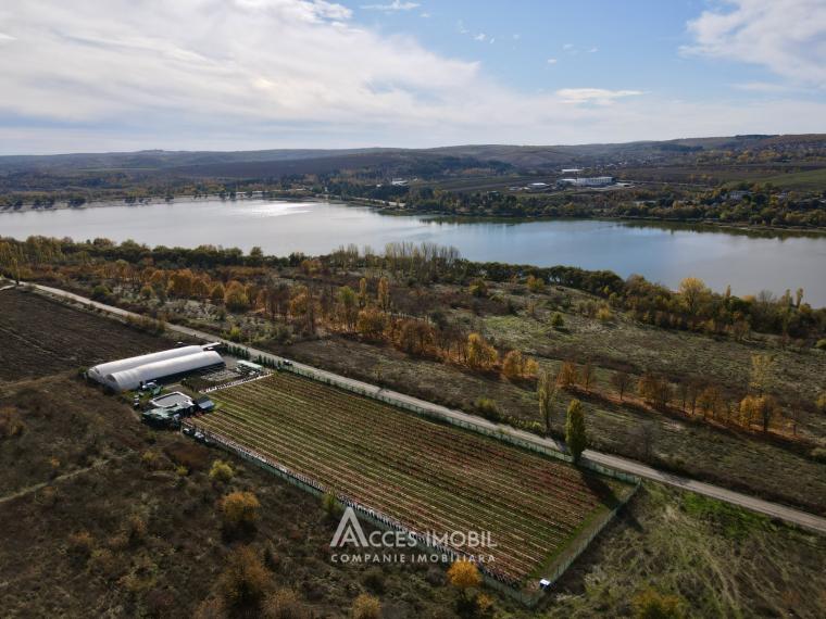 Сельскохозяйственный участок 100 соток! шос. Хынчешть, Данчены!: 9