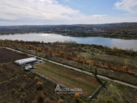 Сельскохозяйственный участок 100 соток! шос. Хынчешть, Данчены!: 9