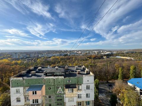 Dansicons! str. Matei Basarab, Râșcani, 2 camere + living. Euroreparație!: 14