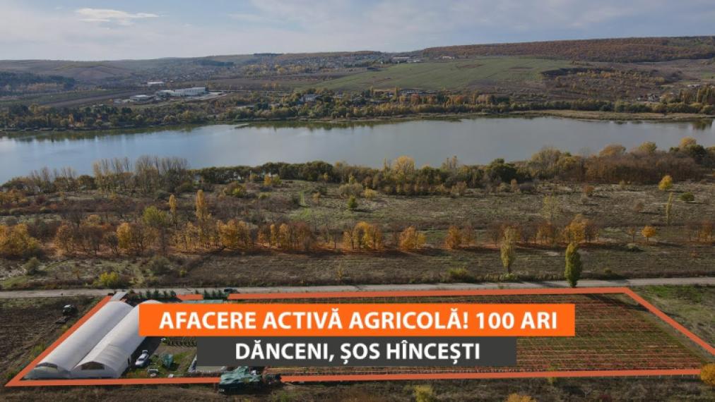 Сельскохозяйственный участок 100 соток! шос. Хынчешть, Данчены!: 0