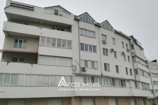 : BuiucaniAngela Paduraru street