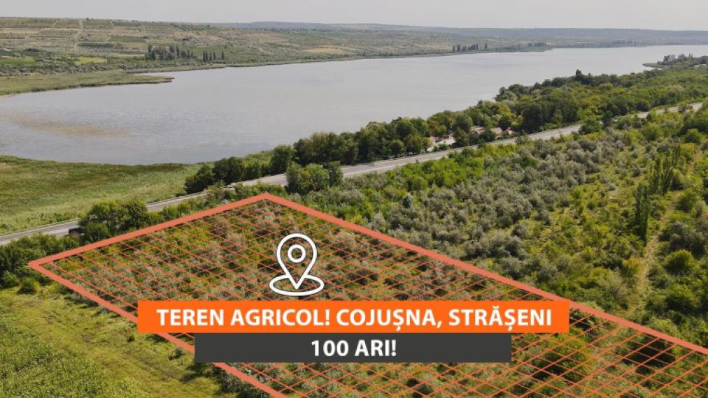 Agricultural land 100 aries! Cojusna, Straseni!: 0
